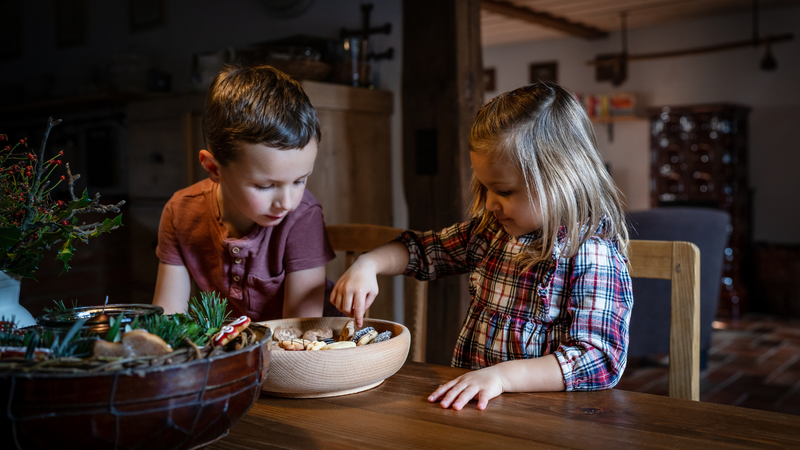 Náhledová fotografie pro blogový článek. Obrázek se váže k obsahu článku.
