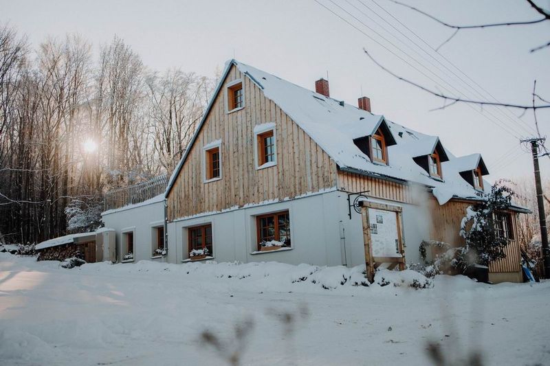 Náhledová fotografie pro blogový článek. Obrázek se váže k obsahu článku.