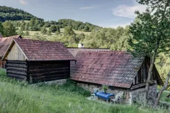 Náhledová fotografie pro blogový článek. Obrázek se váže k obsahu článku.